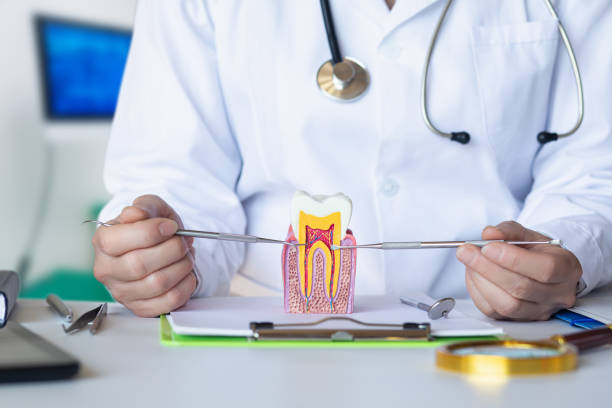 Best Broken or Cracked Tooth Emergency Dentist in Dundee, NY